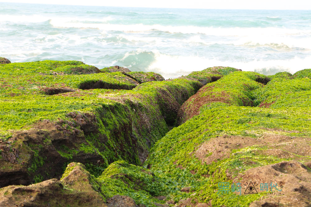 北海岸一日遊景點 老梅石槽 春季限定的綠地毯侵蝕美景 - 黑崎時代