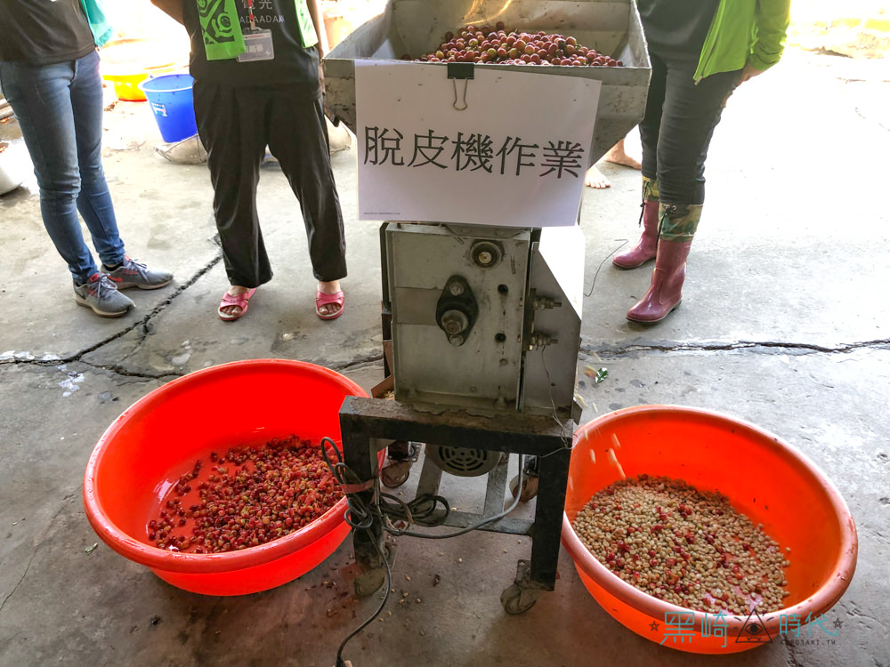 台東關山景點 跟著電光咖啡職人一起上山採豆烘豆品味人生 - 黑崎時代